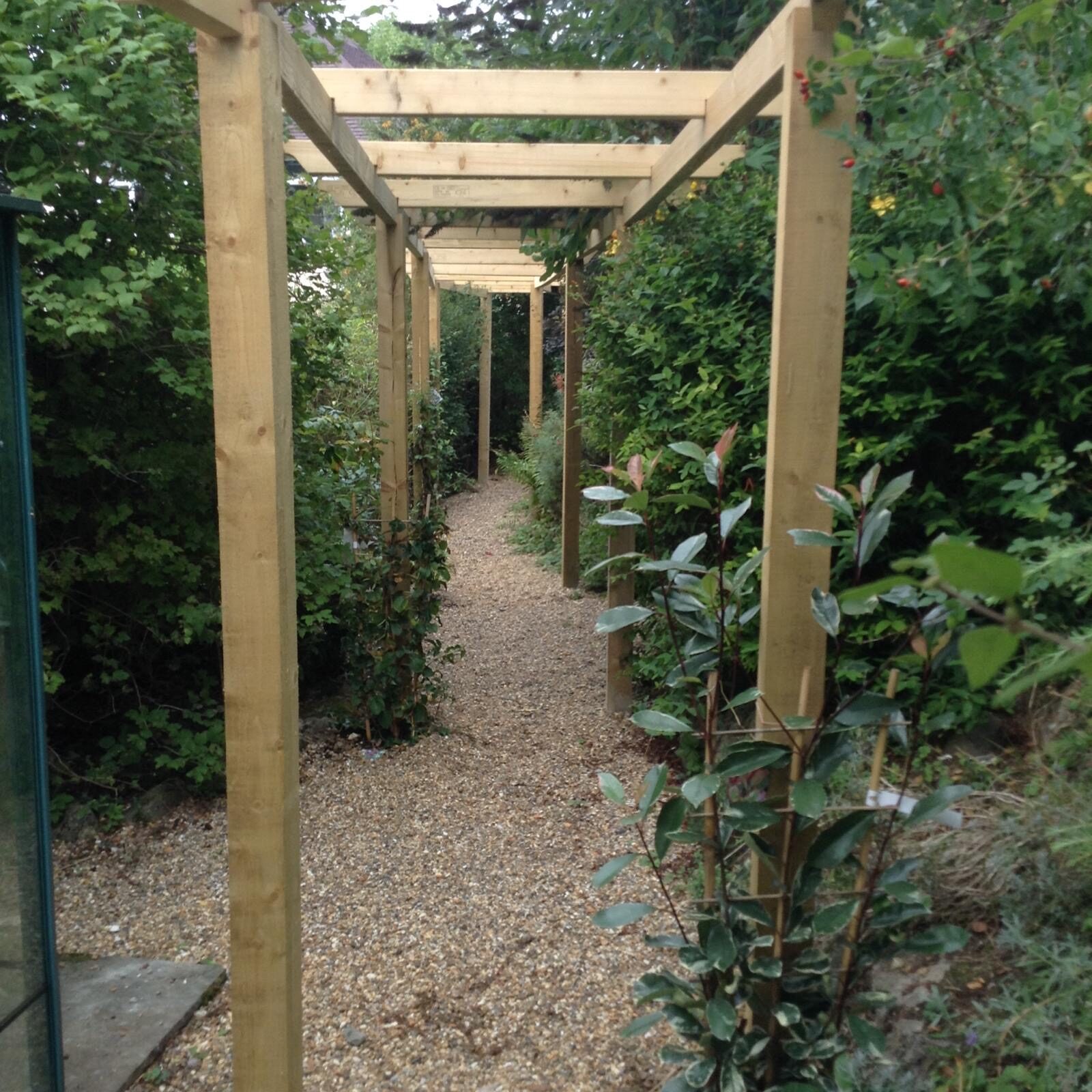 Timber pergola walkway with planting in Surrey