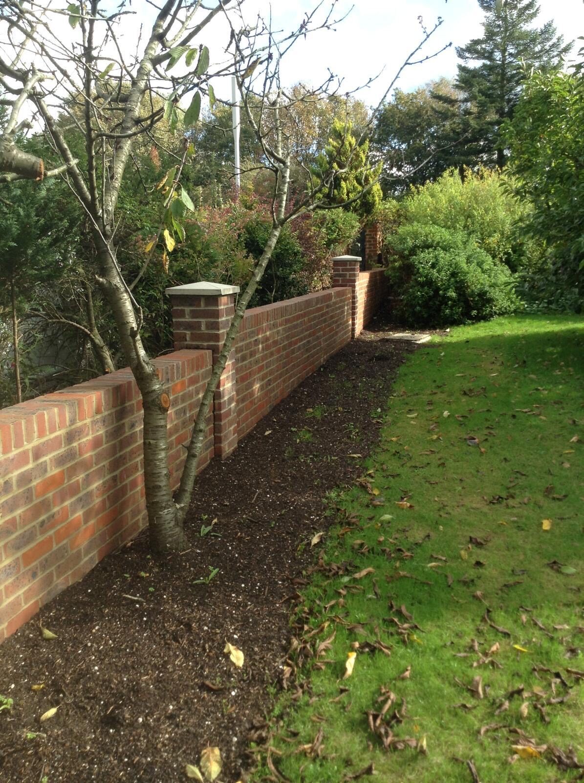 Landscaped garden with lawn and borders in Surrey
